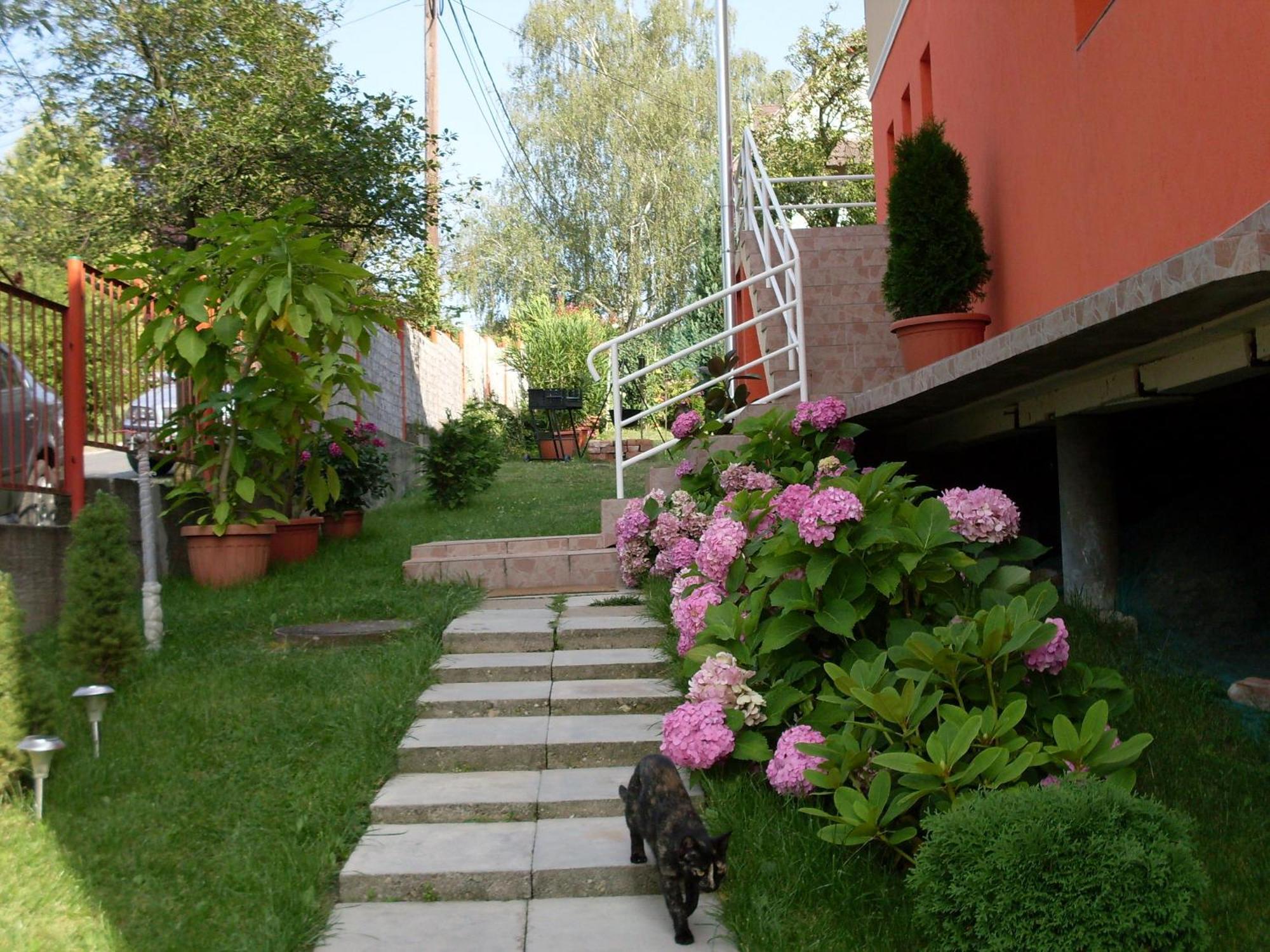 Éden Vendégház Miskolc Esterno foto